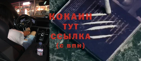 мет Новосибирск