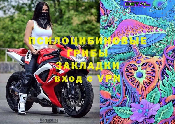 дживик Корсаков