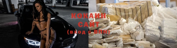 дмт Козельск