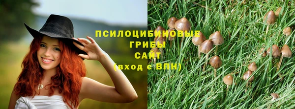 каннабис Кодинск