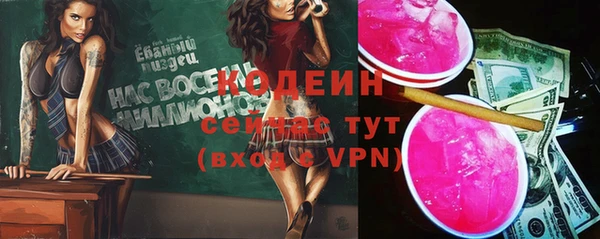 дмт Козельск