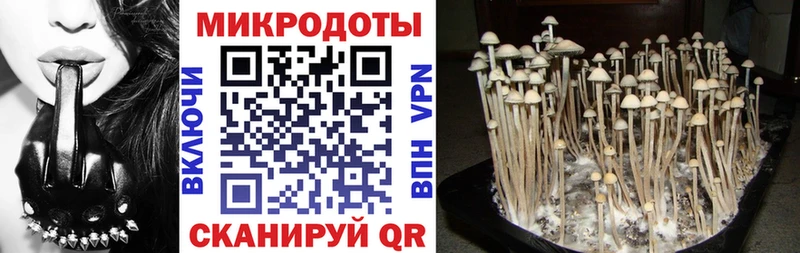 Галлюциногенные грибы Cubensis  Купить  Дедовск 